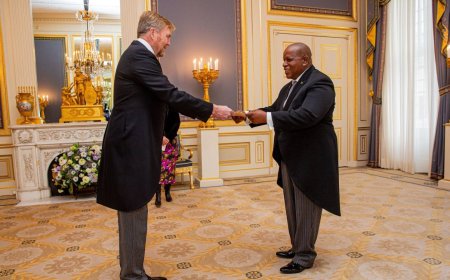 Panka overhandigt geloofsbrieven aan koning Willem-Alexander