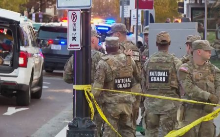Twee leden Nationale Garde doodgeschoten nabij Witte Huis; Washington tijdelijk in lockdown