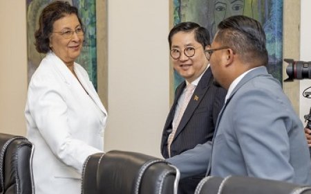 Diplomaten Hong Kong en China maken opwachting bij president