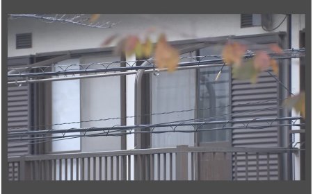 Man (79) opgepakt in Japan voor moord op zijn 100-jarige moeder