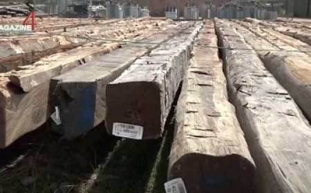 SBB neemt in totaal 3.311 illegale electriciteitspalen in beslag bij EBS: waarde ruim SRD 24,