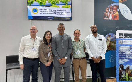 Klimaatcrisis treft Caribische landbouw steeds harder