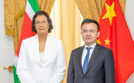 Honorair consul Hong Kong en Chinese topdiplomaat maken opwachting bij president