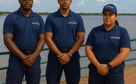 Inzetten van overtollige ambtenaren in toerismesector