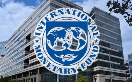 IMF schept beeld economie