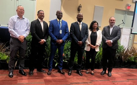 Abiamofo ontvangt juridische sleutelrapporten voor modernisering elektriciteitssector