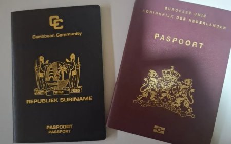 Juridische info: Het recht eenvoudig uitgelegd – De Toescheidingsovereenkomst