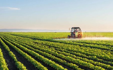 Landbouwontwikkeling – Een sector in verval en vol potentie 