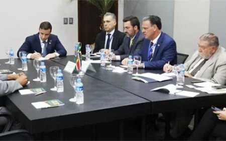 Suriname krijgt hulp van Brazilië om cassaveziekte tegen te gaan