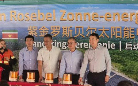 Zijin investeert US$ 30 miljoen in nieuw zonnepark voor groene goudwinning