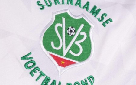 SVB respecteert besluit van Menzo om terug te treden