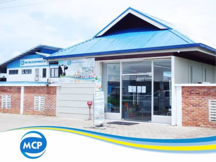 DAMAGE CONTROL PARASTATALE MERKEN