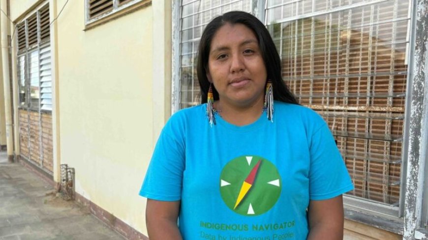 Ivana Vincke mist inheemse participatie in en besluitvorming op landelijk niveau