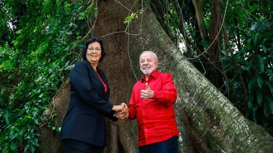 Suriname schaart zich achter Braziliaans initiatief voor bescherming van tropische bossen