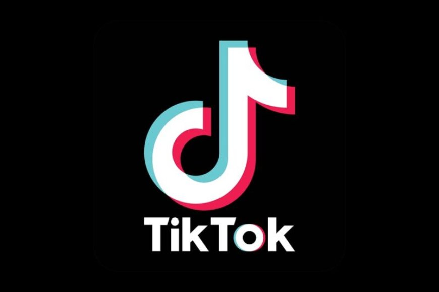 Vijftienjarig meisje seksueel misbruikt door 21-jarige TikTok-kennis