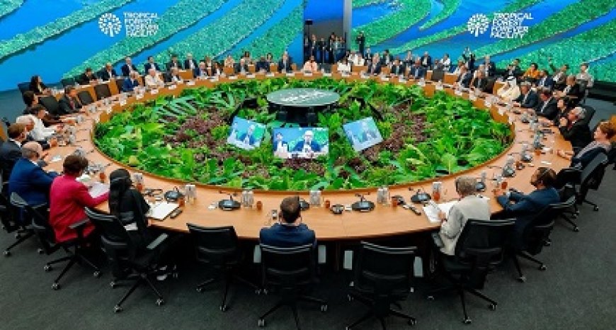 Suriname steunt oprichting van Tropical Forests Forever Facility in Belém