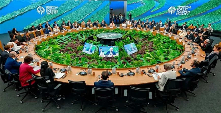 Simons: Bossen moeten eerlijk worden beloond voor hun bijdrage aan het klimaat