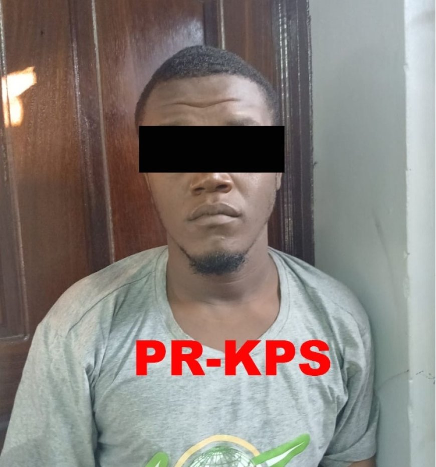 Verdachte zware mishandeling na acht maanden aangehouden