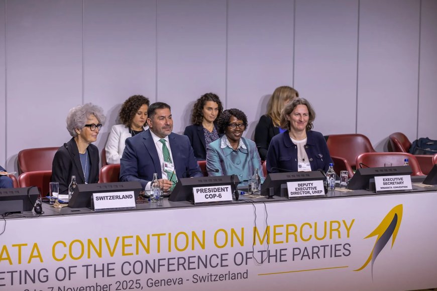 Minamata kwikverdrag pakt goudmijncrisis niet aan