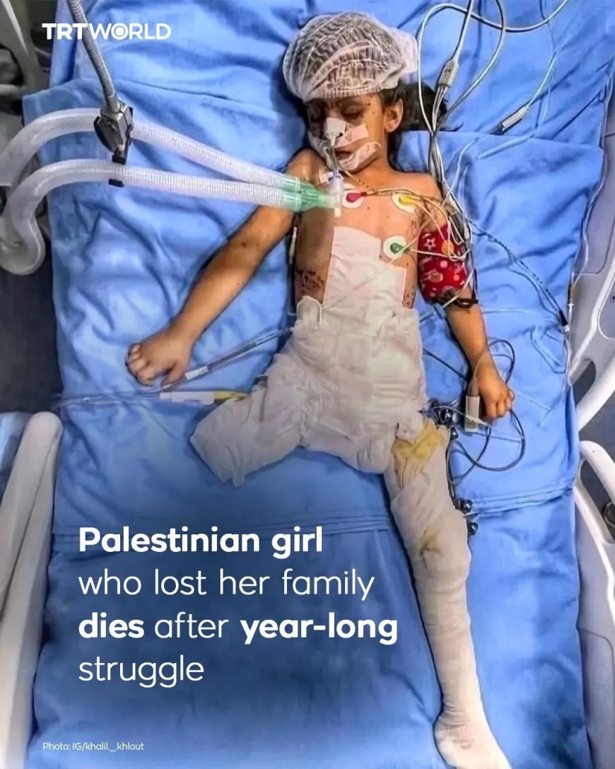 Israël heeft meer dan 70.000 Palestijnen gedood