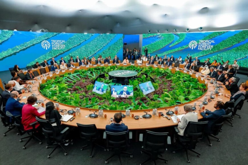 Suriname steunt oprichting Tropical Forests Forever Facility in Belém