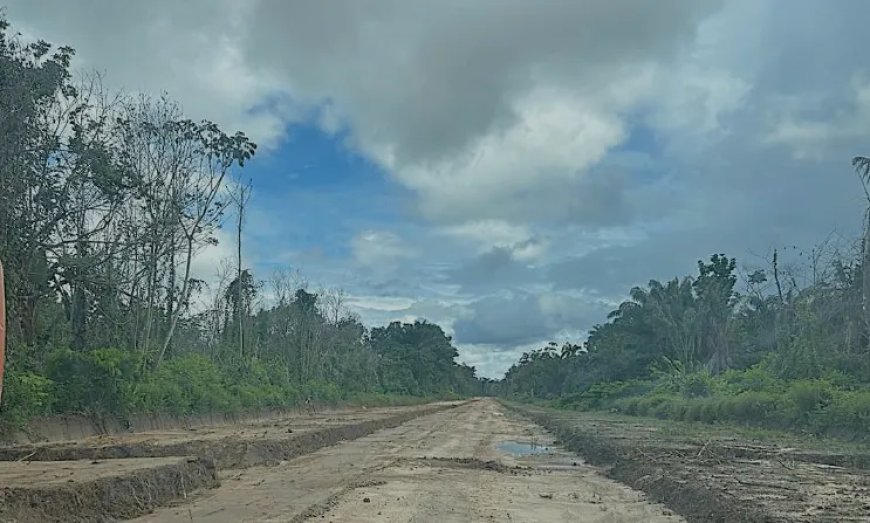 LVV heeft onrechtmatig grote lappen grond uitgegeven tussen Nw.Nickerie en Apoera