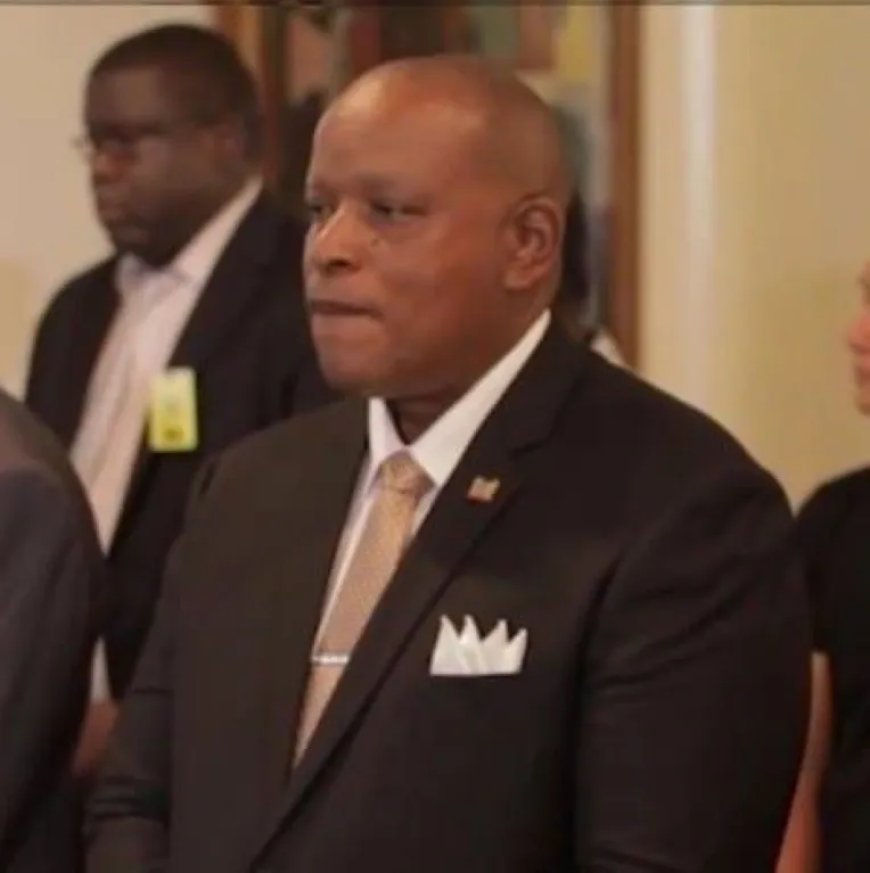 Panka wordt de nieuwe ambassadeur in Nederland