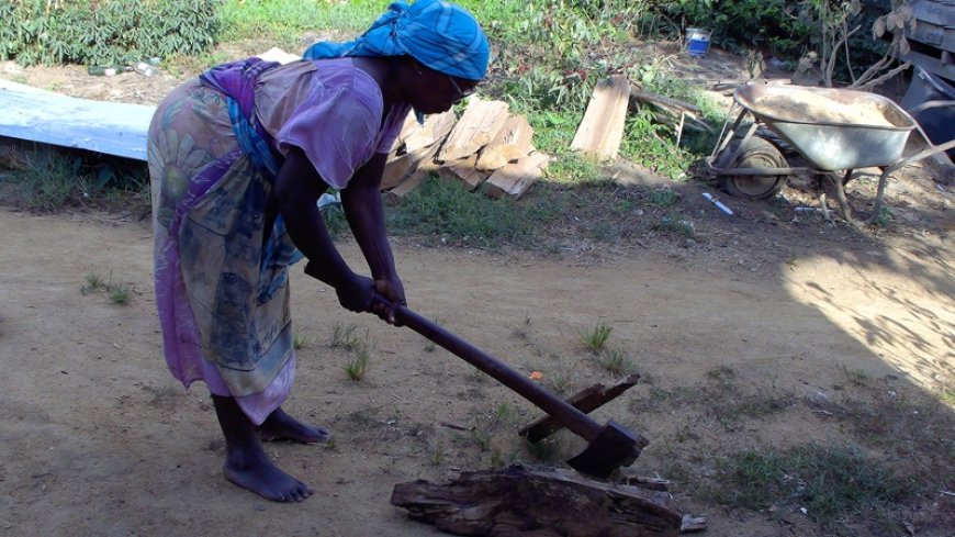 SBB rondt dataverzameling brandhoutonderzoek af met veldwerk in Sipaliwini