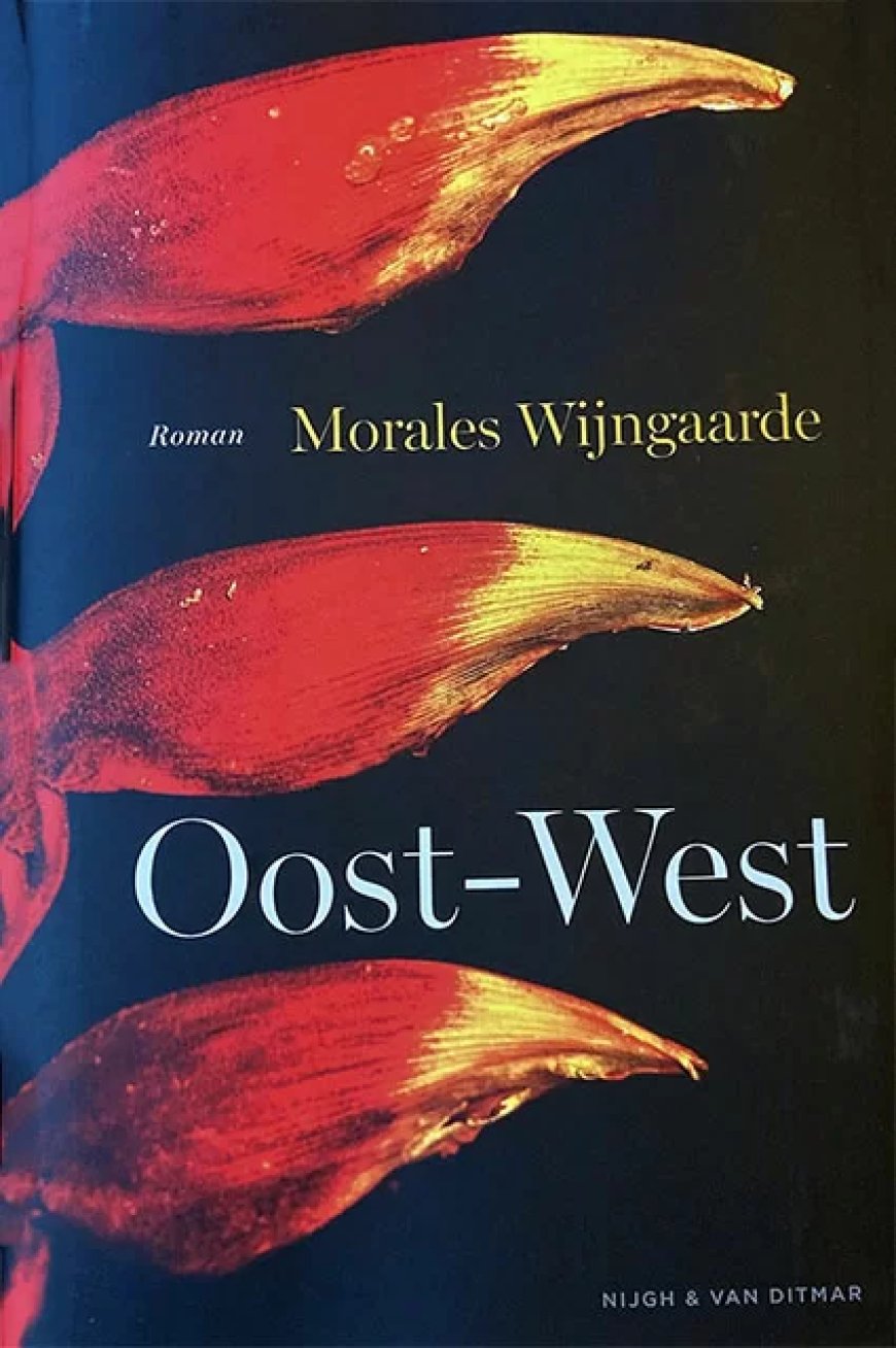 Roman Oost-West: Liefde in tijden van dictatuur