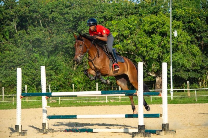 Paardenspringen 2025: Internationale deelname groeit