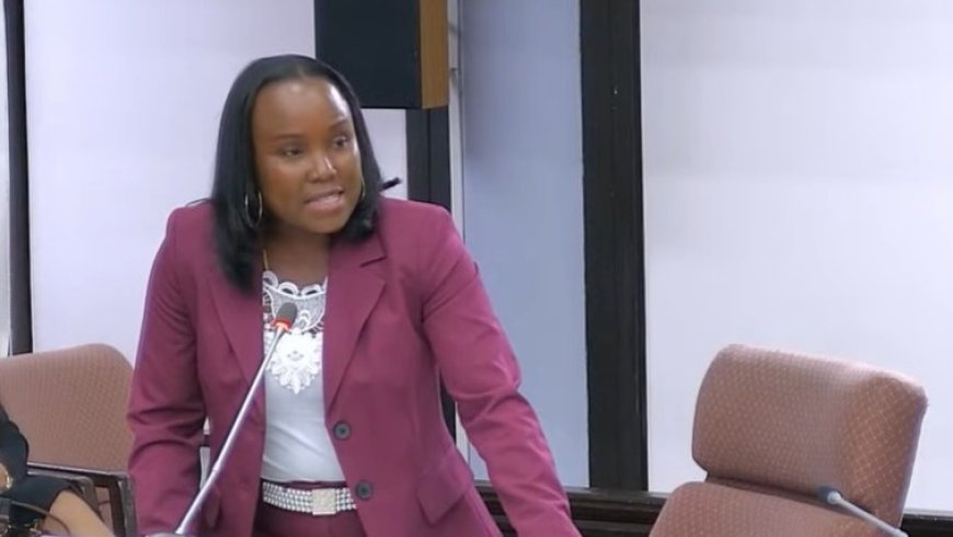 Afonsoewa eist duidelijkheid over gronduitgifte bij Santo Boma