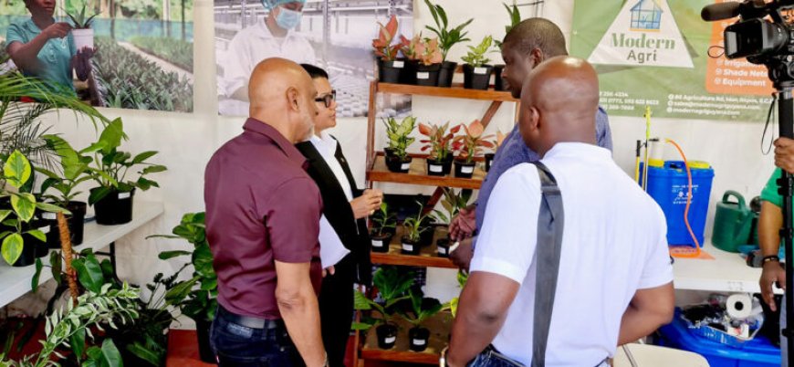 InVitroPlants Grassalco tekent MoU met Guyanees landbouwbedrijf