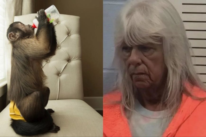 Pleegmoeder in VS beschuldigd van ruilen kind voor exotische aap