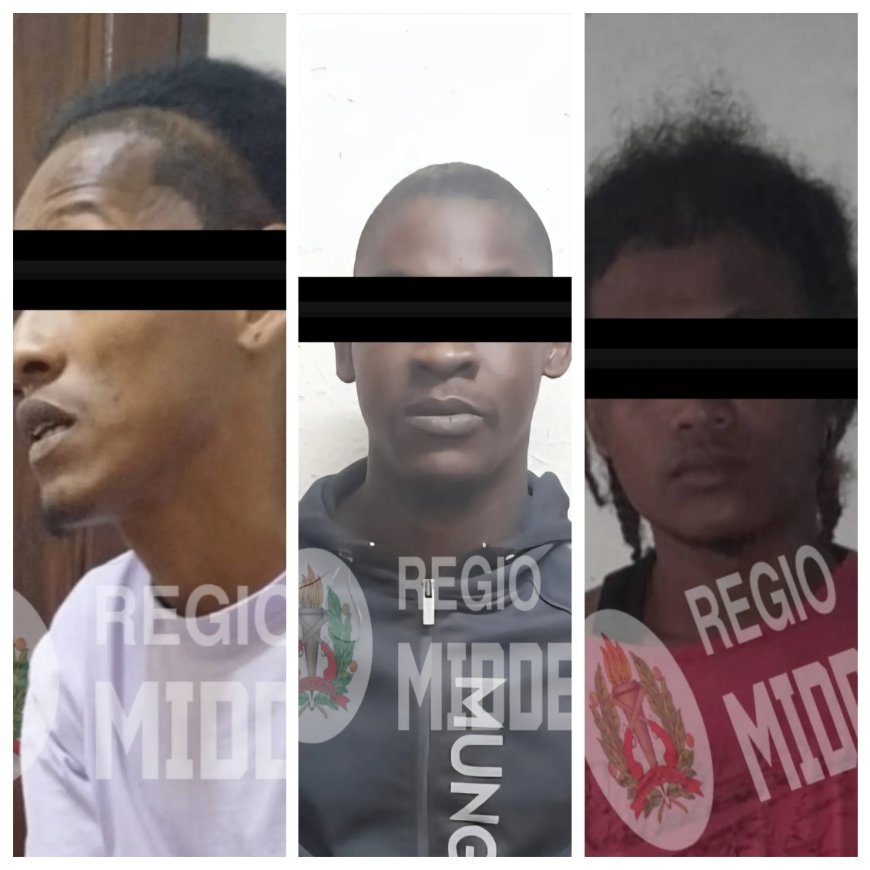 Drie verdachten opgepakt voor beroving en mishandeling van agent te Brownsweg