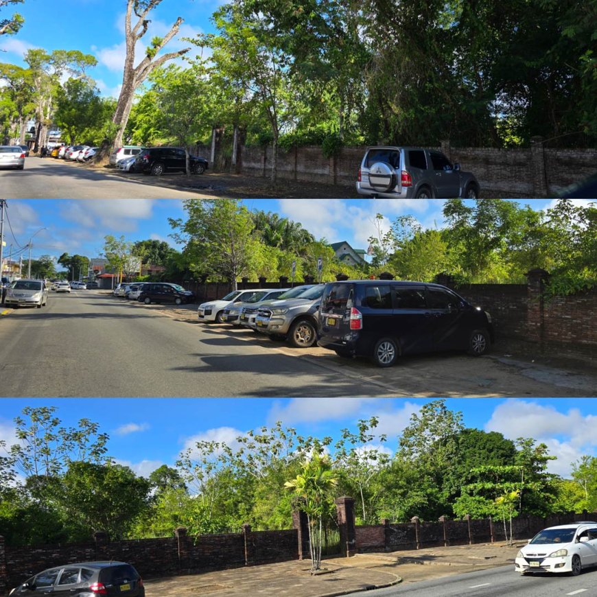 ORANJEBOS: CULTUREEL BARBARISME TEN TOP