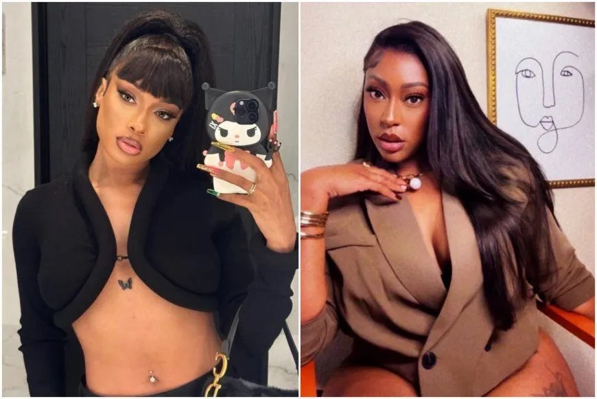 Juridisch gekibbel rond Megan Thee Stallion en Milagro Gramz
