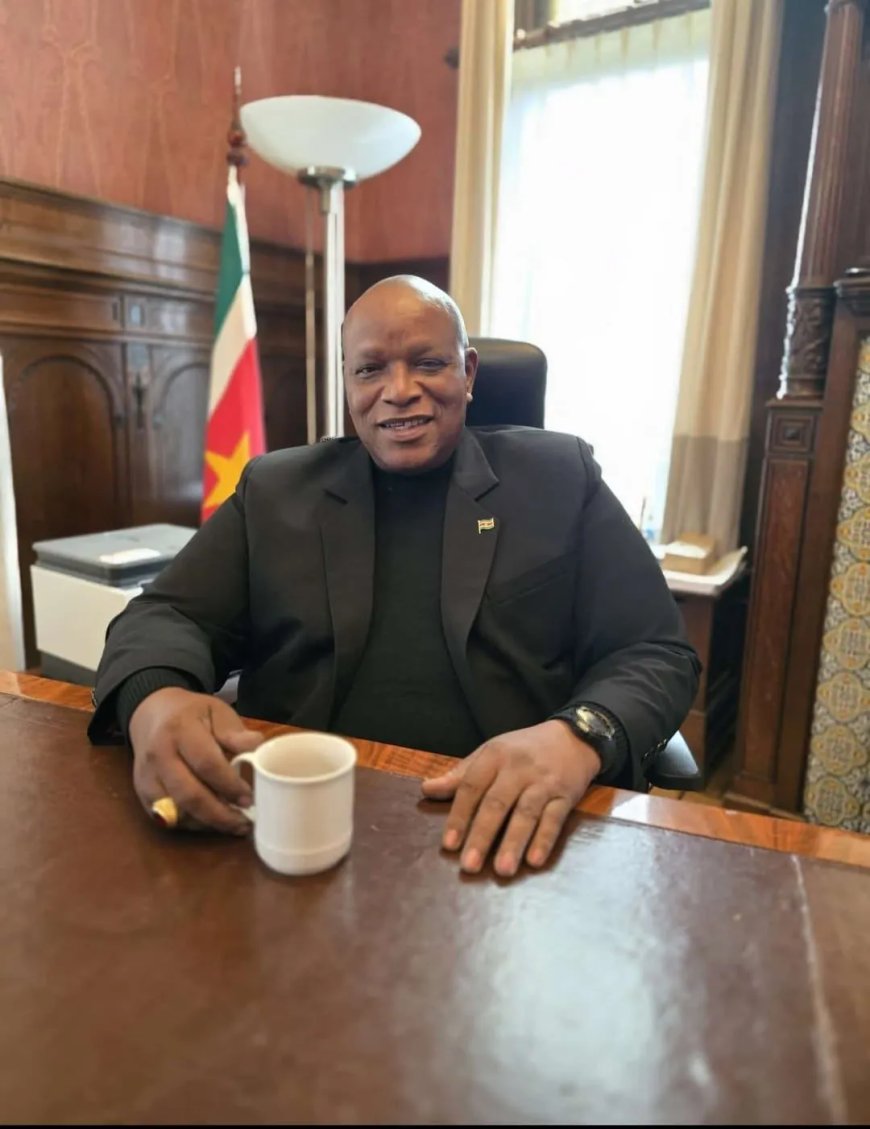 Ambassadeur Panka biedt woensdag geloofsbrieven aan koning Willem-Alexander aan