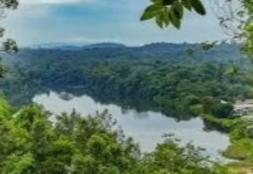 De strijd om het behoud van tradities tegen het kapitalisme 