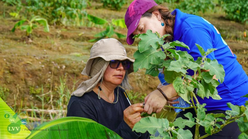 Internationale experts helpen Suriname bij bestrijding landbouwplagen