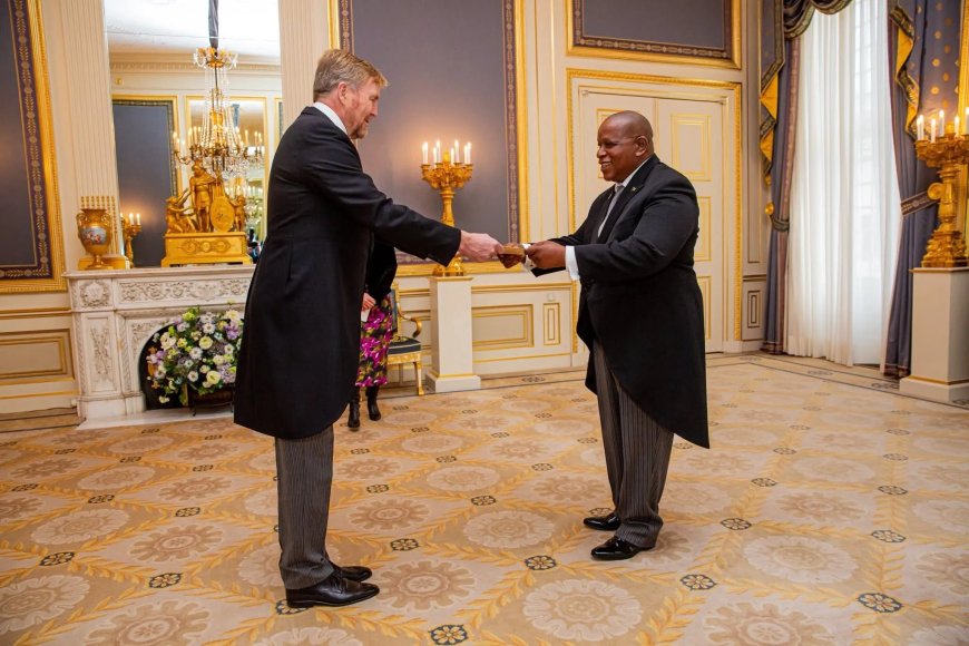 Ambassadeur Panka presenteert geloofsbrieven aan koning Willem-Alexander