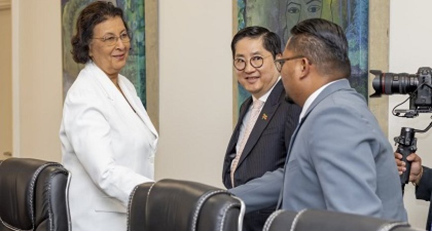 Diplomaten Hong Kong en China maken opwachting bij president