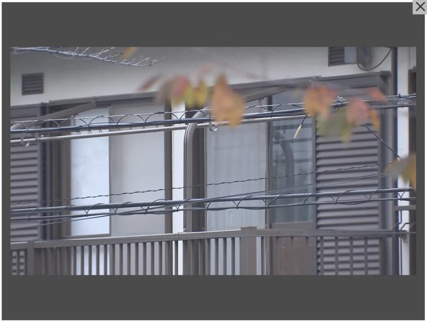 Man (79) opgepakt in Japan voor moord op zijn 100-jarige moeder