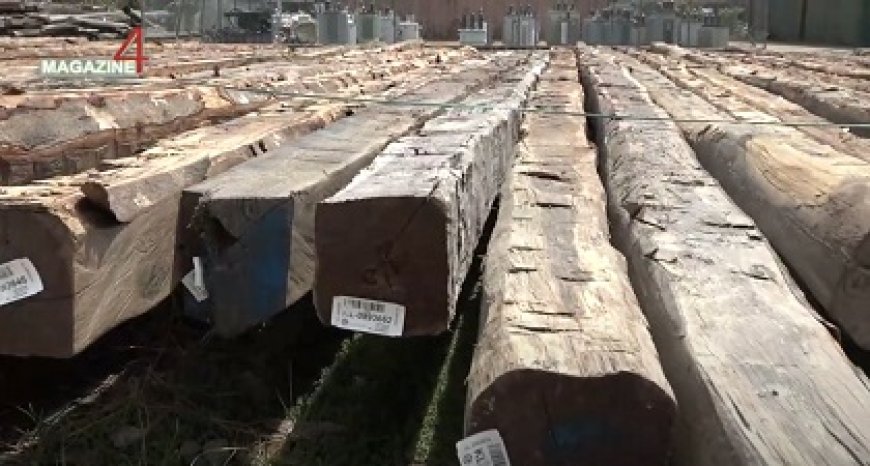 SBB neemt in totaal 3.311 illegale electriciteitspalen in beslag bij EBS: waarde ruim SRD 24,