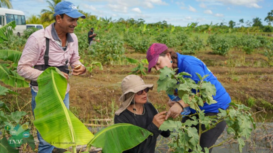 Internationale experts ondersteunen LVV bij aanpak insectenplagen