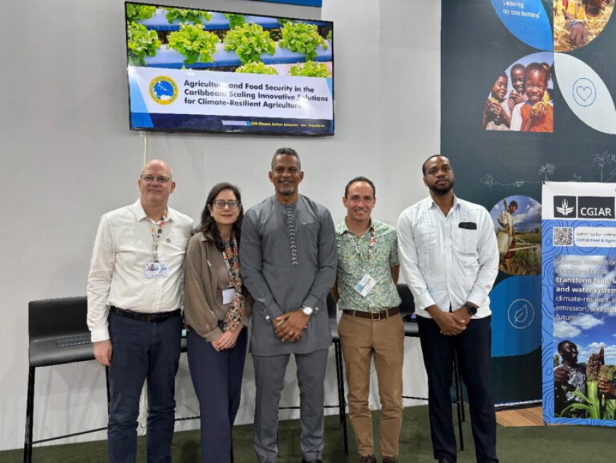 Klimaatcrisis treft Caribische landbouw steeds harder