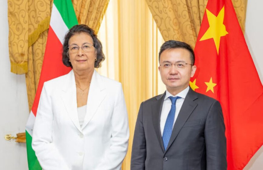 Honorair consul Hong Kong en Chinese topdiplomaat maken opwachting bij president