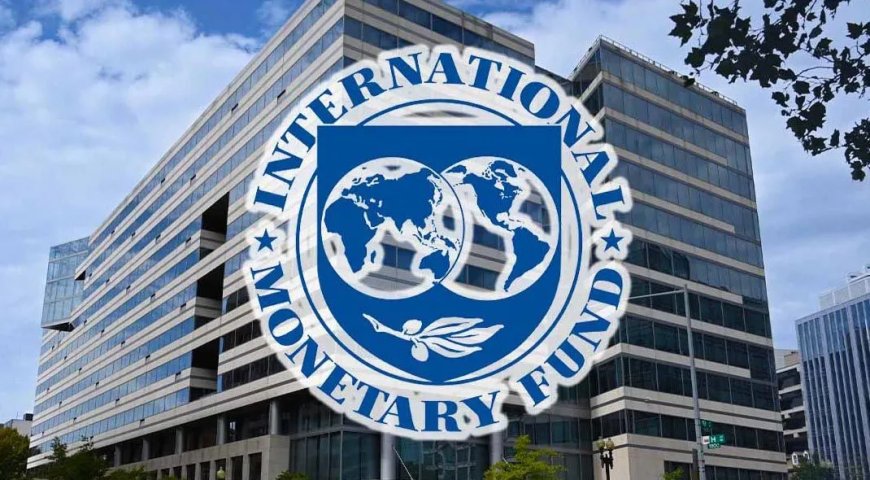 IMF schept beeld economie