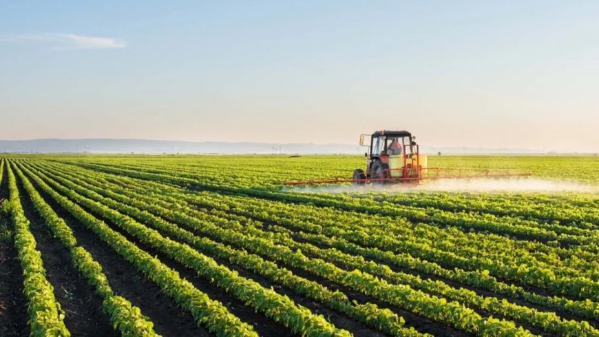 Landbouwontwikkeling – Een sector in verval en vol potentie 