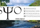 SVPO: Alleen Kinder- & Jeugdpsychologen en Orthopedagogen mogen kinderen testen