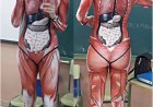 WIST U DAT – Een Spaanse lerares eind 2019 les gaf in een wetsuit bedrukt met organen, spiere